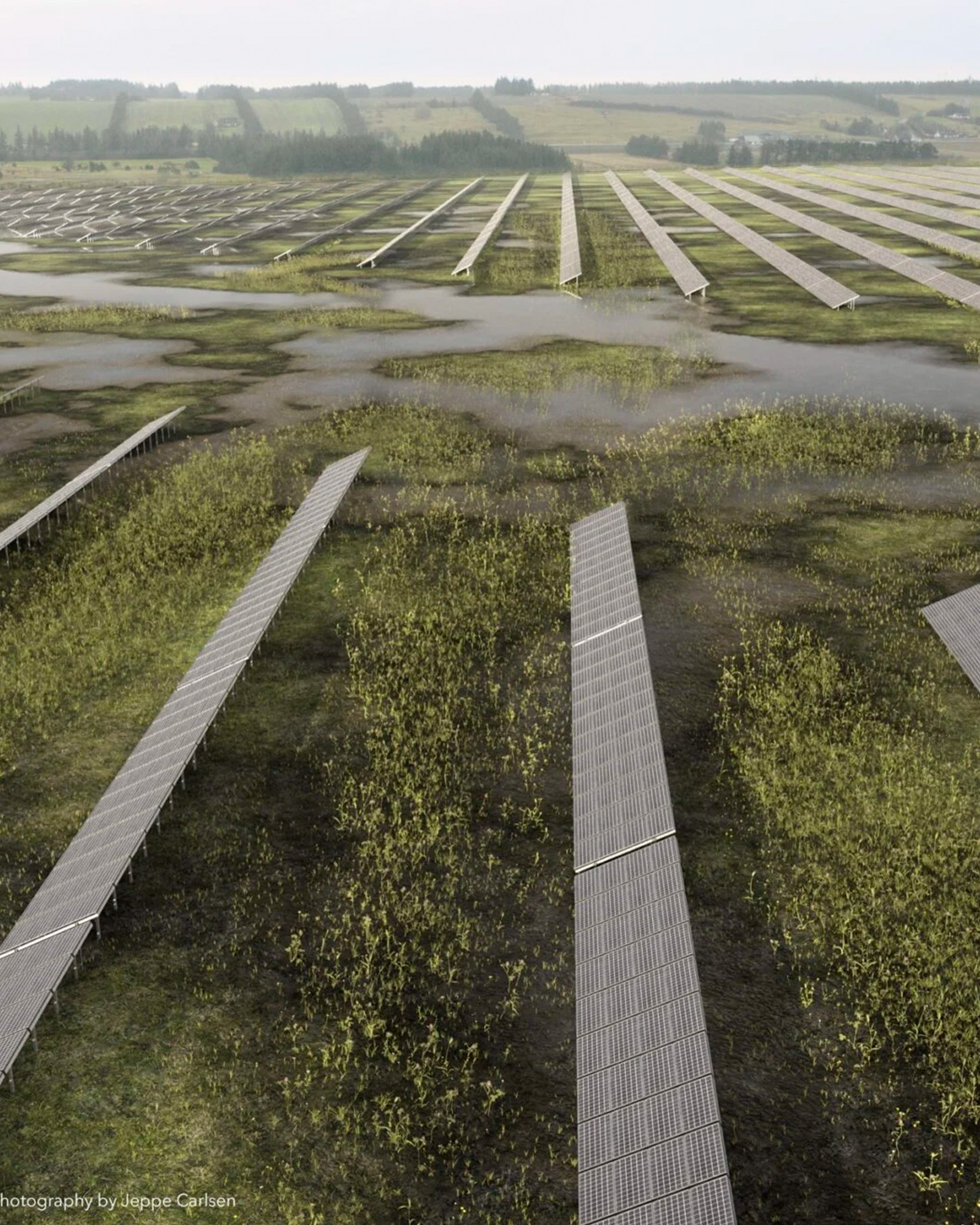 Design denmark 01