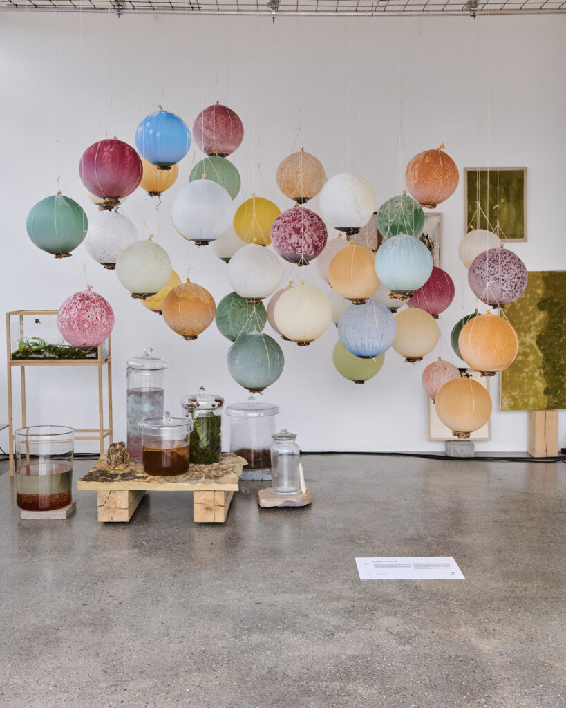 2025 other circle noma projects 3535 1