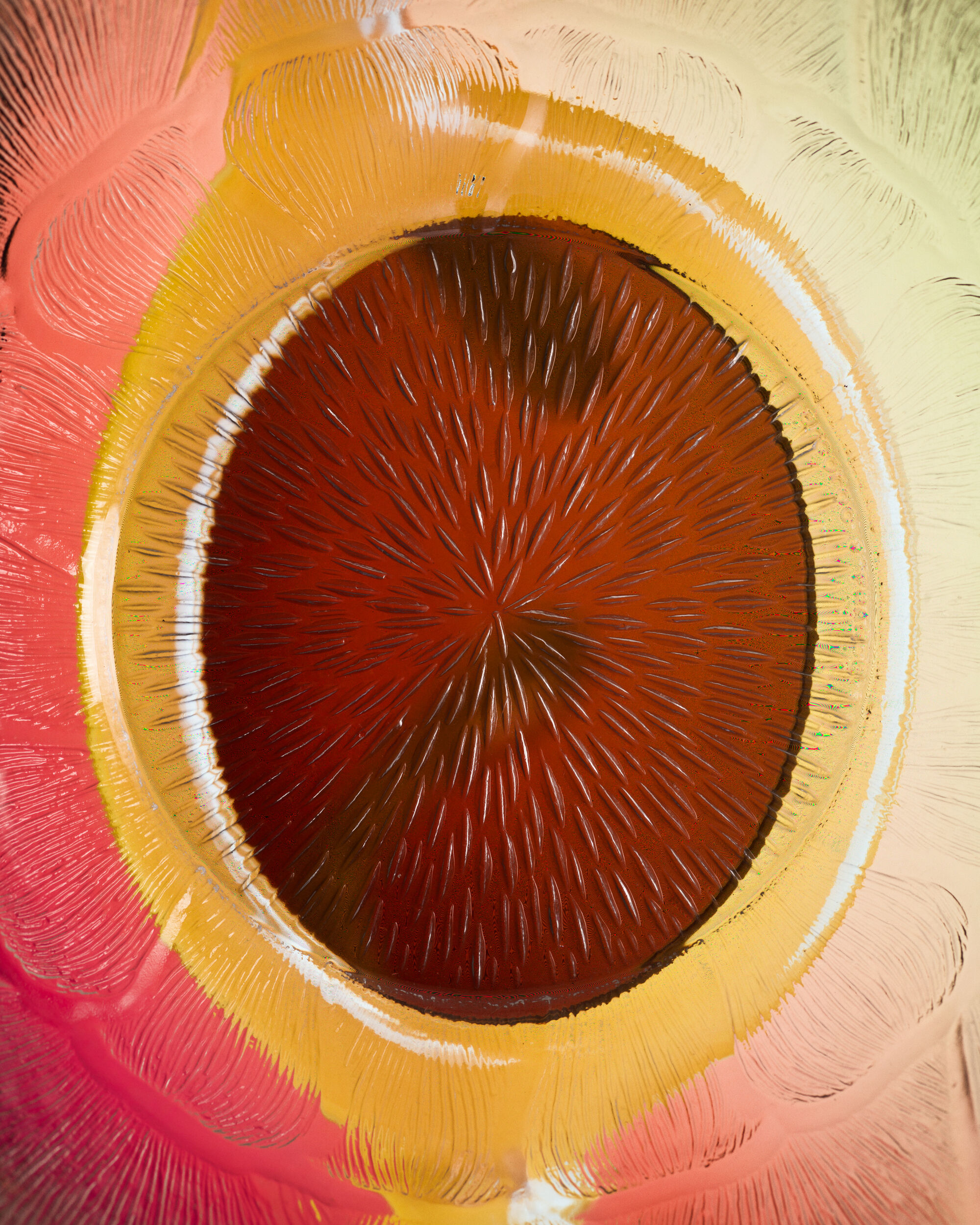 Paloceras sun collection amber lens