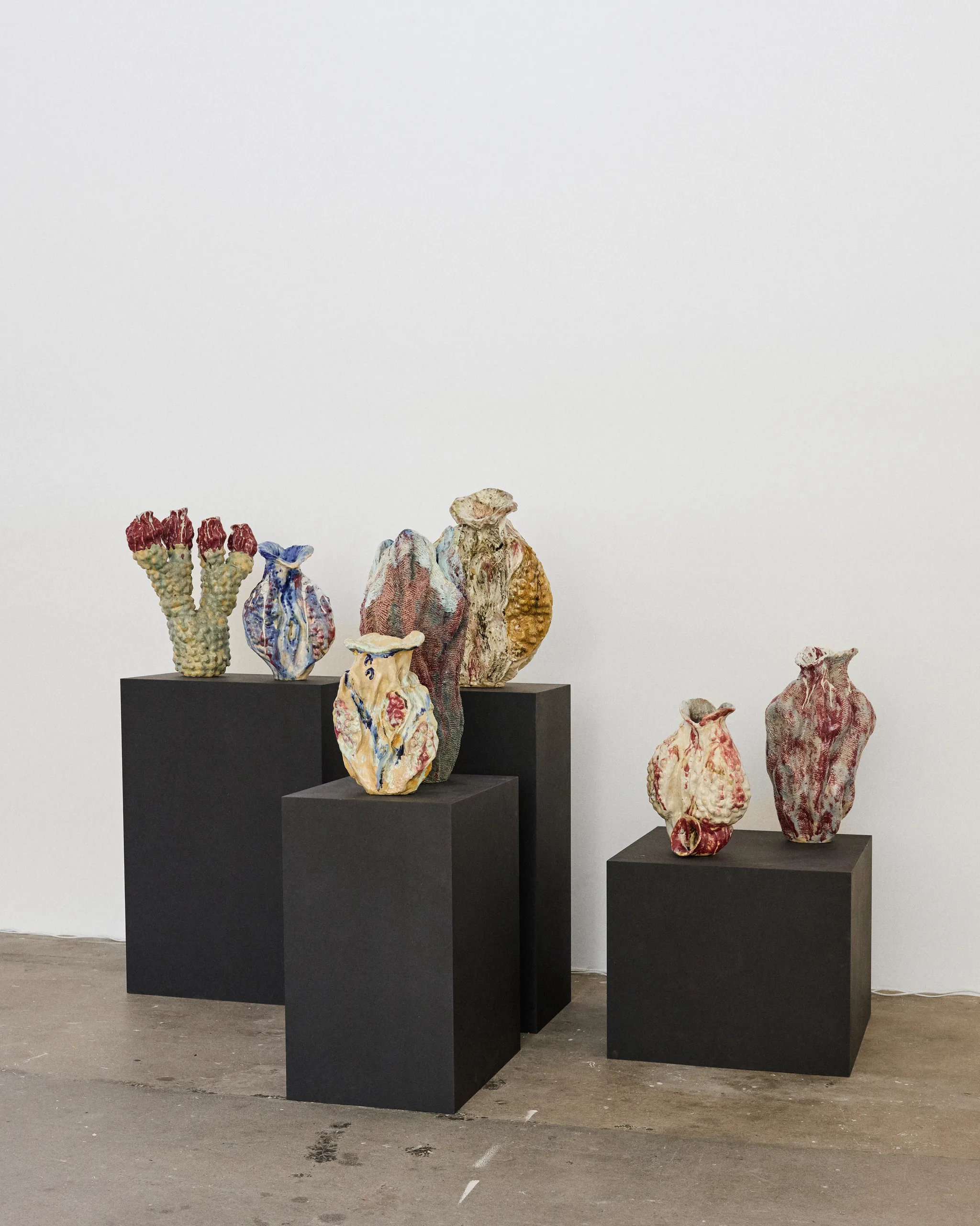 Hans alf gallery 1177 4x5